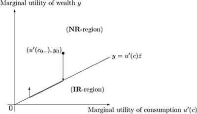 Continuous-Time Portfolio Selection: A Cursory Survey